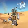 AnalogBassCamp & Umberto Echo - How Much Is the Robot?